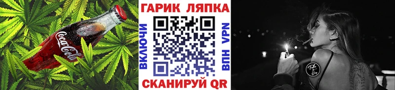 магазин  наркотиков  Лесной  MEGA онион  Cannafood конопля 