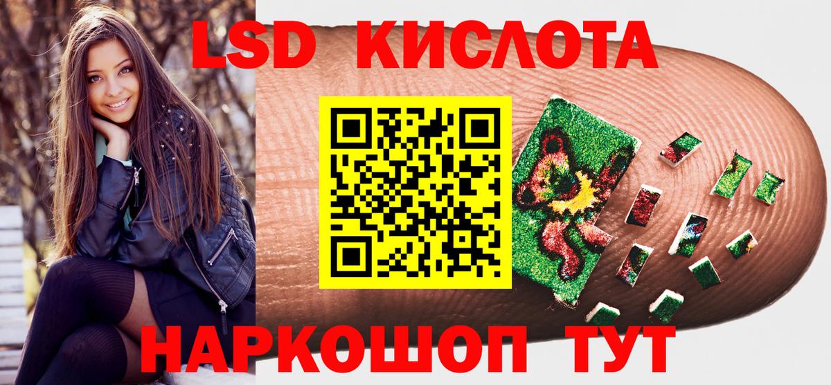 Наркотические марки  Марки 25I-NBOMe 1,5мг  Вход с VPN  Лесной 