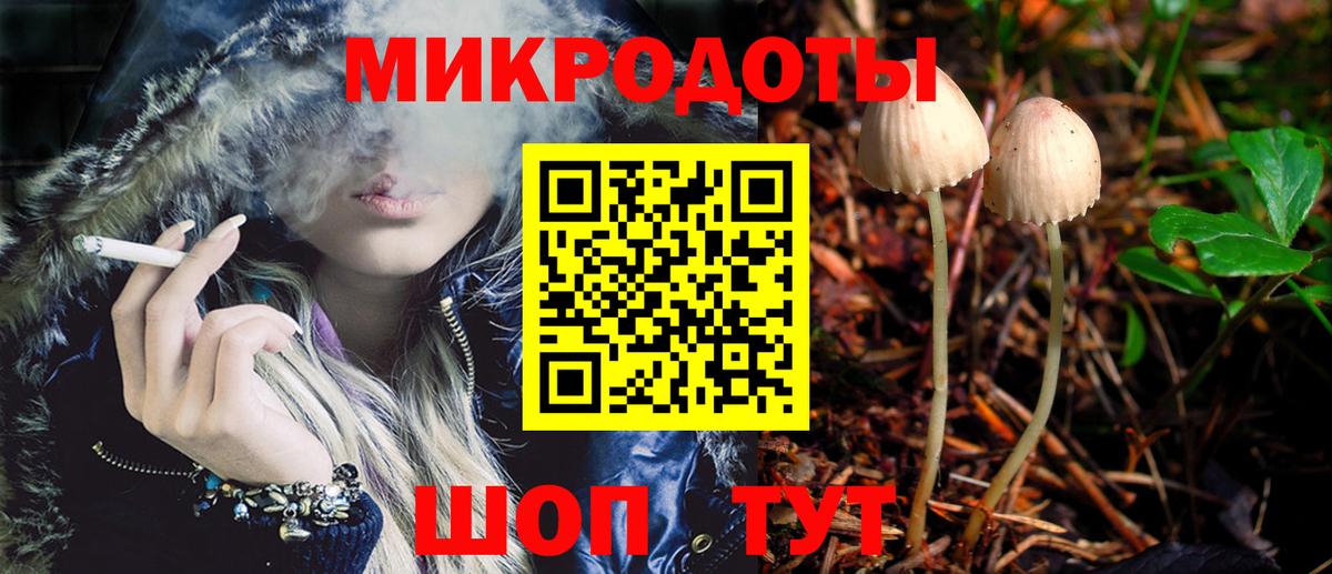 Галлюциногенные грибы GOLDEN TEACHER  Псилоцибиновые грибы прущие грибы  Вход с VPN  Лесной 