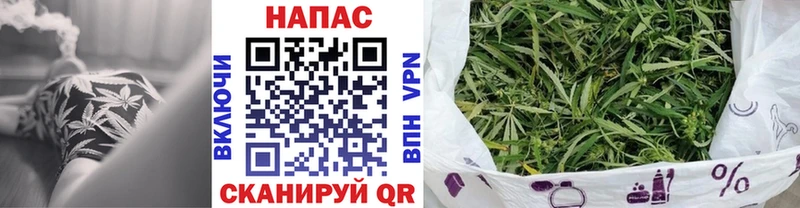 Бошки Шишки MAZAR  закладка  кракен ссылки  Лесной 